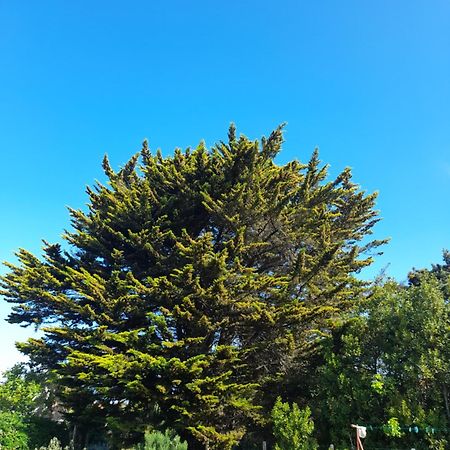 Le Stud' A Saint Pierre D'Oleron ! Apartment Стая снимка
