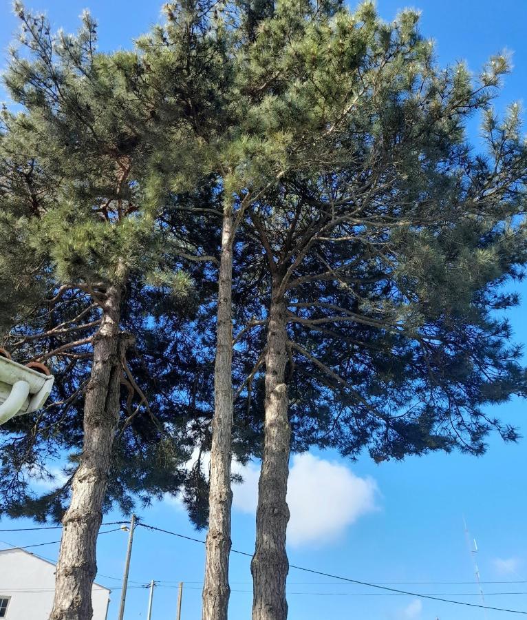 Le Stud' A Saint Pierre D'Oleron ! Apartment Екстериор снимка